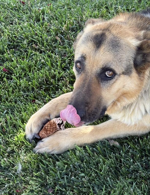 Tongue action