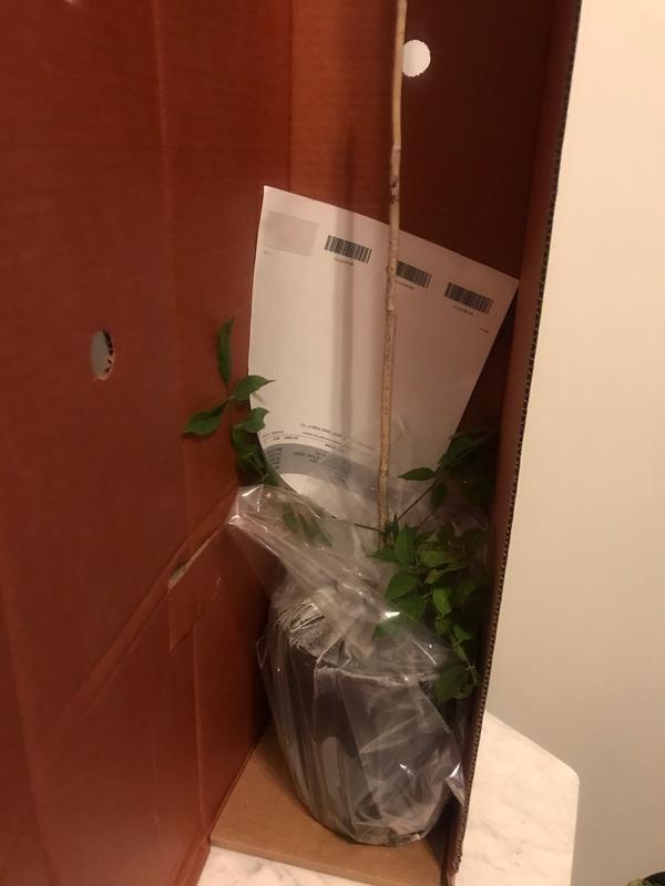 In the box condition