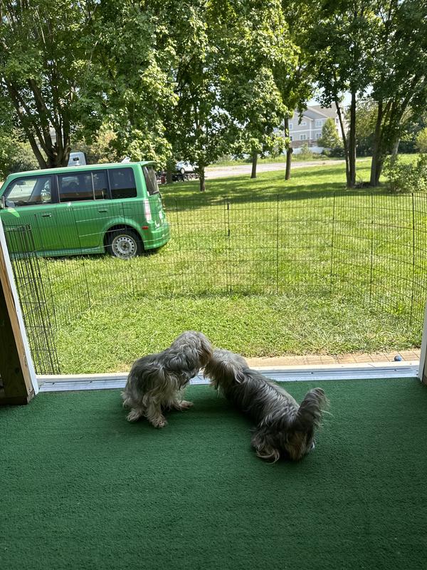 My dogs love it