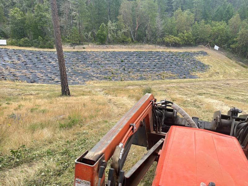 The area I was mowing.