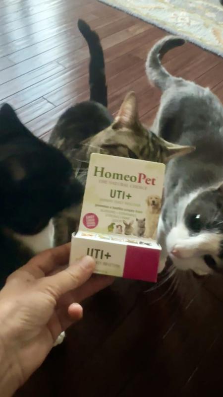 They love the smell!