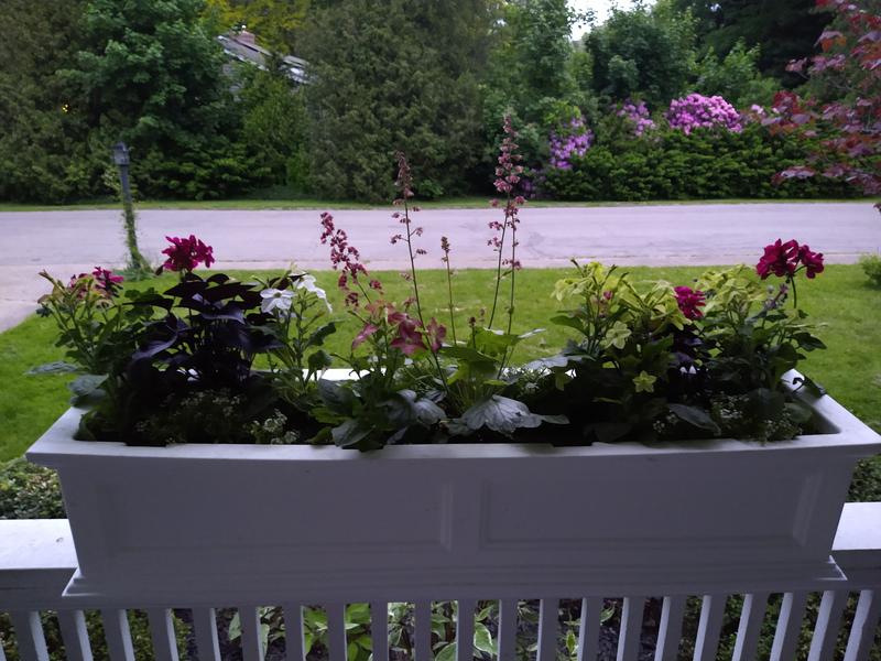 Front Porch Window Box