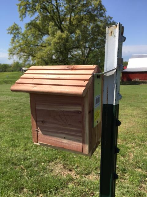 Hang a Bird House!!!