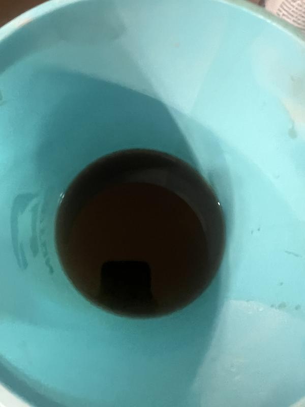 This was the oil that was in it.