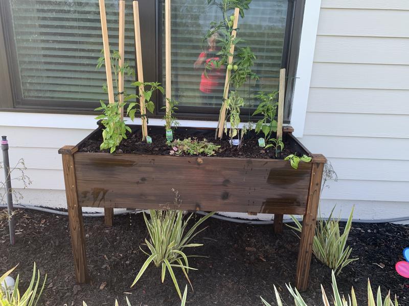 Raised Vegetable Garden