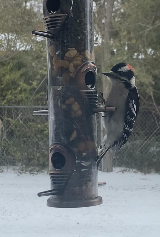 I mixed in some peanuts too :)