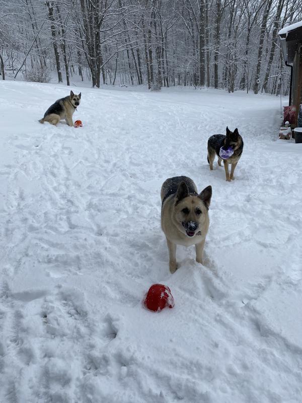 Their ball colors - red, orange and purple.