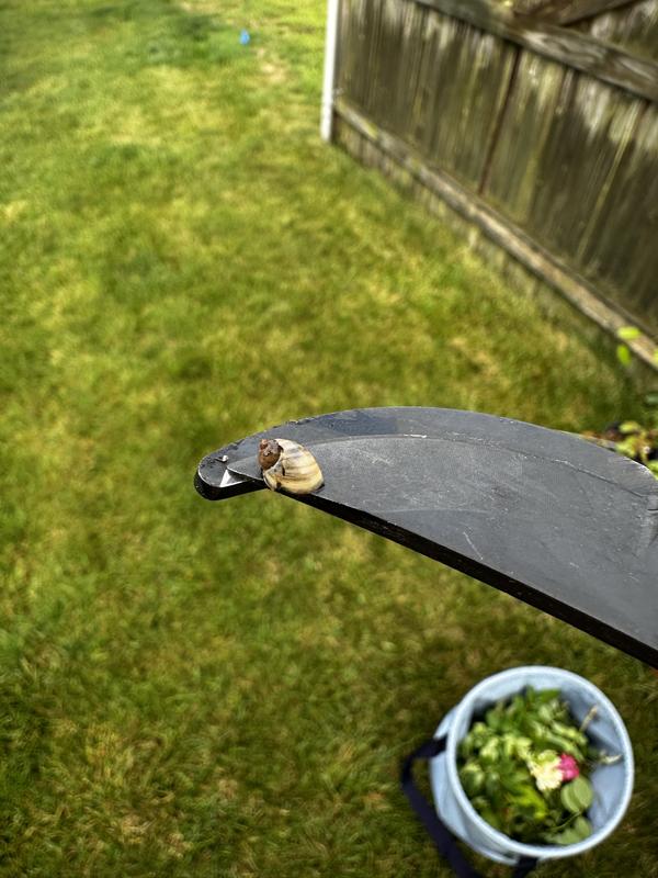 Review photo 2.