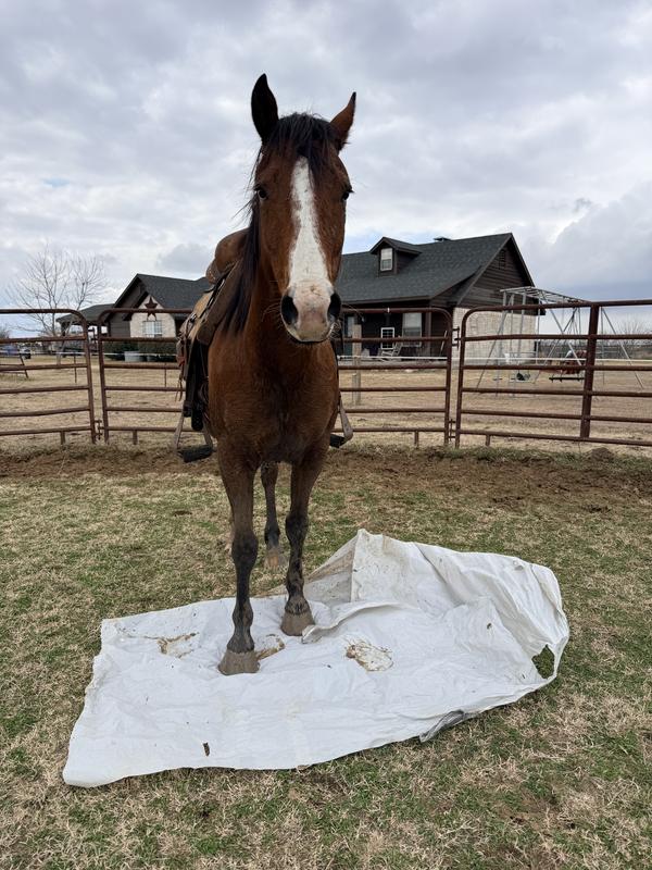 Being a god boy! Deserved that cookie!