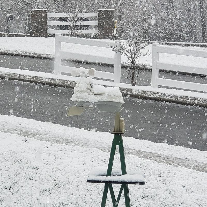 Doing it's job very nicely!