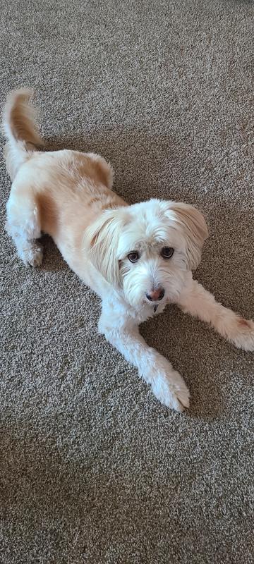 Sam
