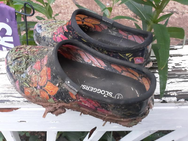 sloggers shoes tractor supply