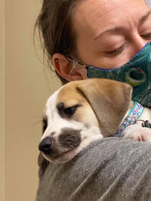 Sad day for Ella, being hospitalized in hopes she can recover