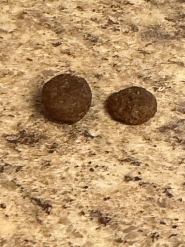 Why such a vast difference in size? The round is from the 4 lb bag and the flat is from the 30 lb bag