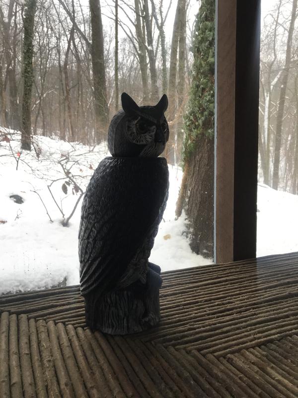 I’ll upload outside pictures once I get him outside