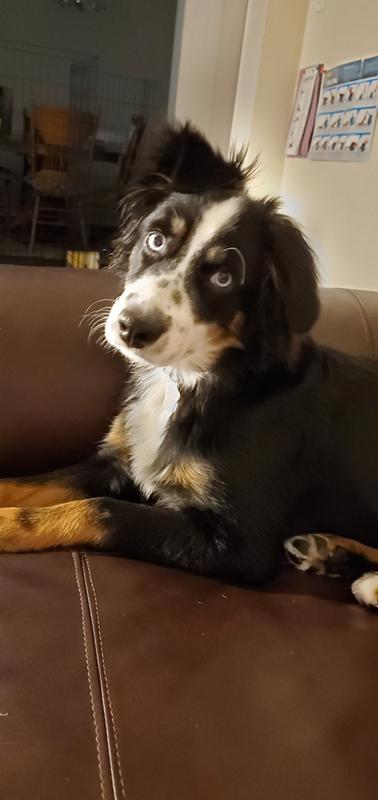 Braxton "Freckles" Jacobi