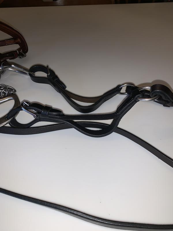 Rein-aids attached to Cody’s Bridle