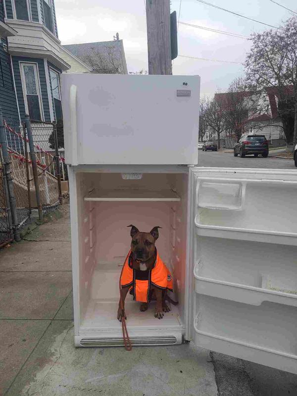 Great for temps 20°-50°F!