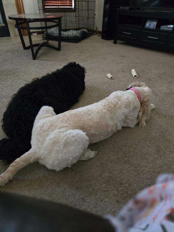 Still loving these wonderfull treats!