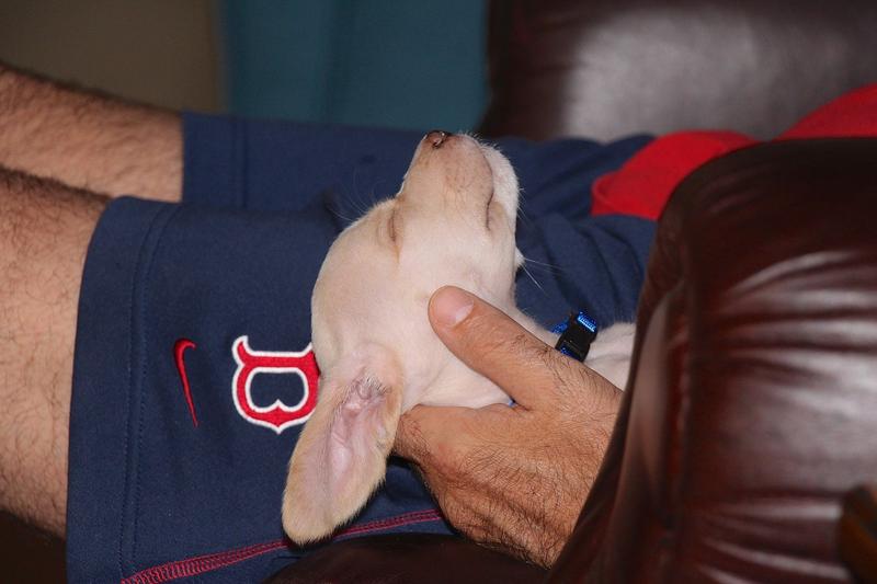 Lily is now 9 yrs old and our princess