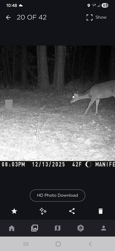 She looks afraid of it