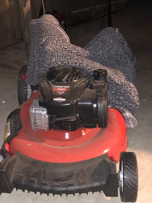 First night home. Gave him a blanket for the night.