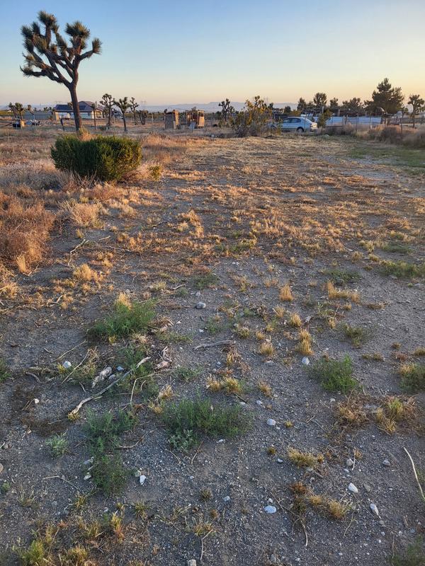 1 hour of work, not bad at all