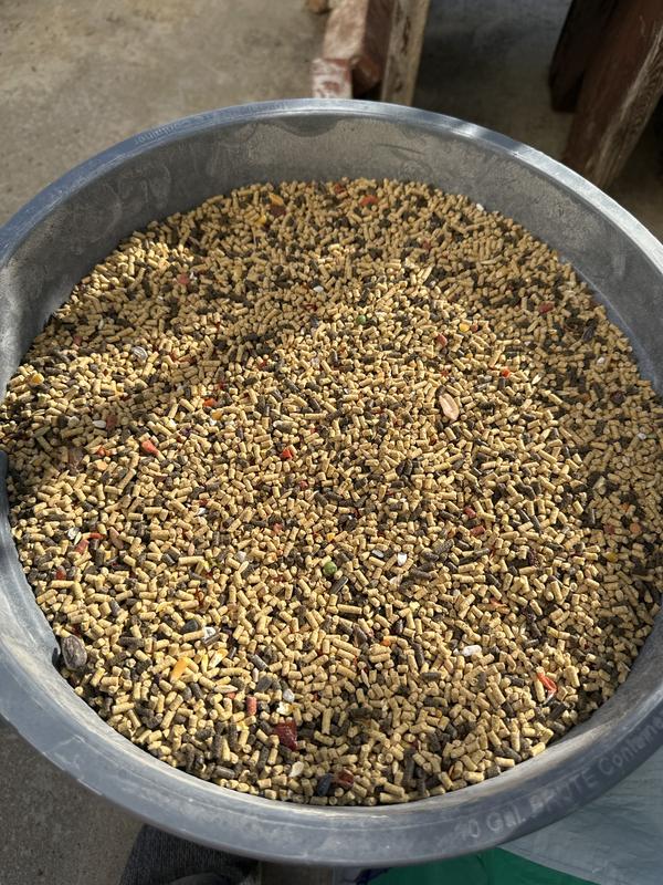 Mixed with supplements