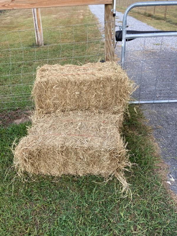 Delivery of perfect hay!