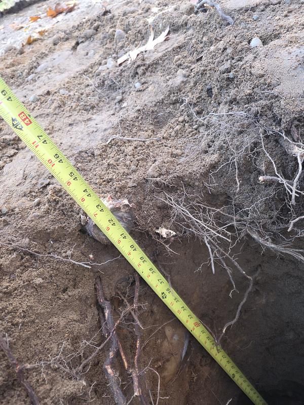 Right according to code