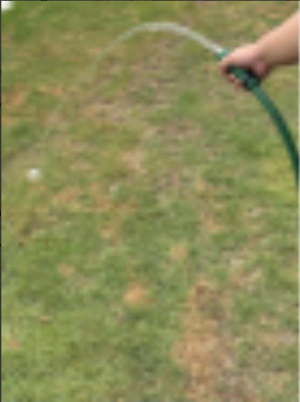 long hose