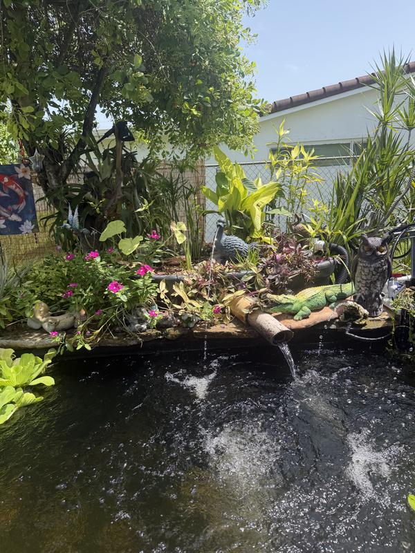 Though it is hard to see my duck has worked out very well