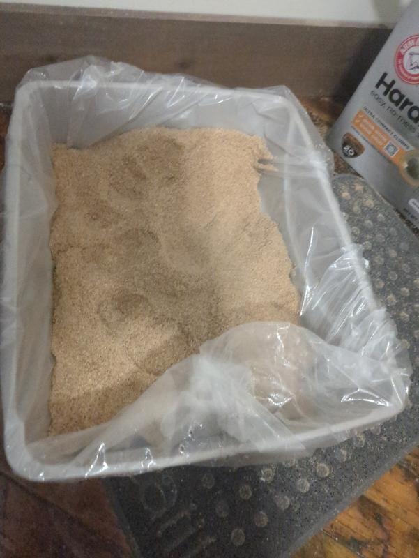 Litter box