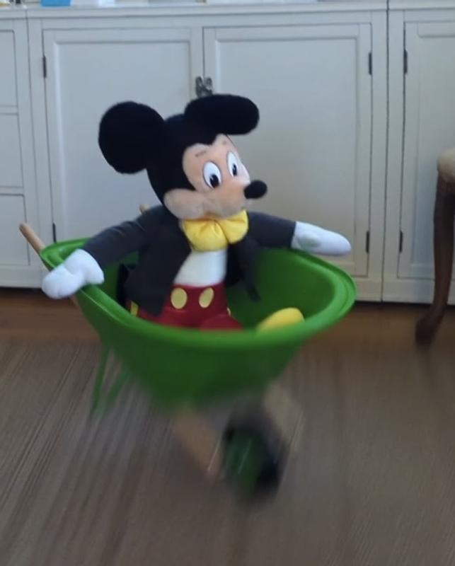 Mickey not included.