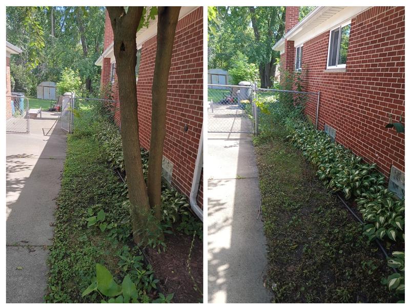 Before/after less than 24hrs after spraying