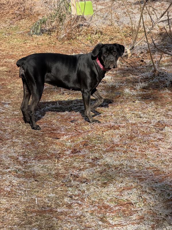 Getting bigger every day.