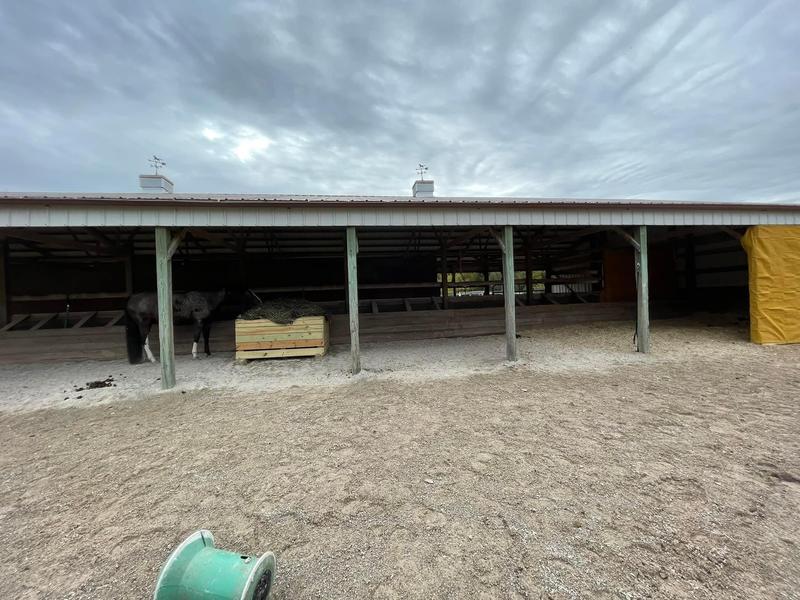 Tarps used in horse turn out