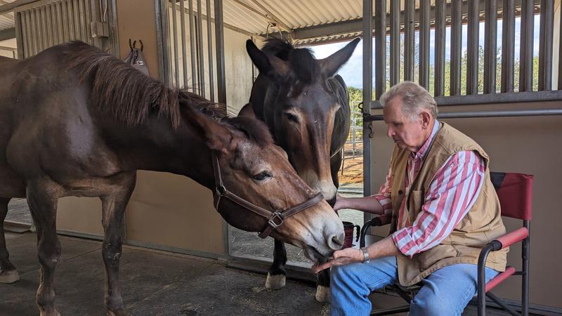 The begging for more process