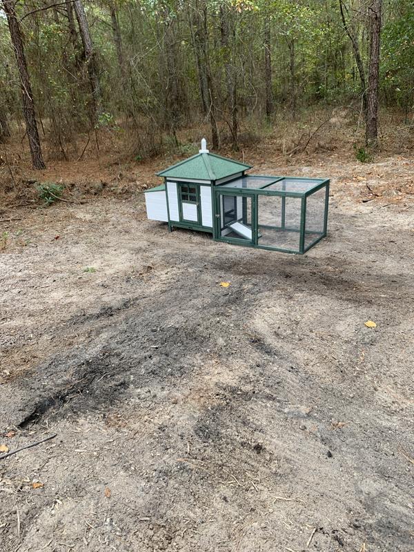 Perfect for Two chickens