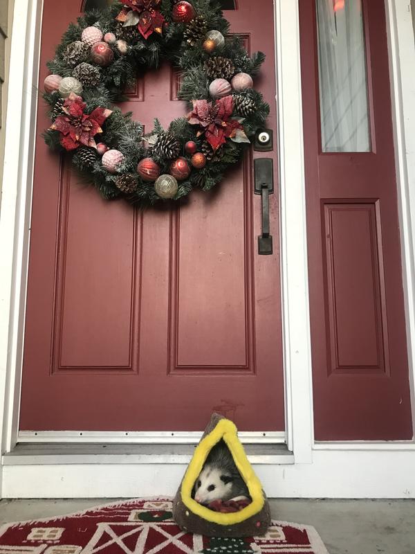 My pet person even likes laying on this cute doormat