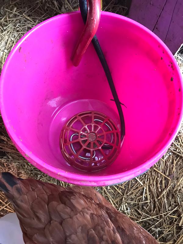 Deicer in 5 gallon water bucket