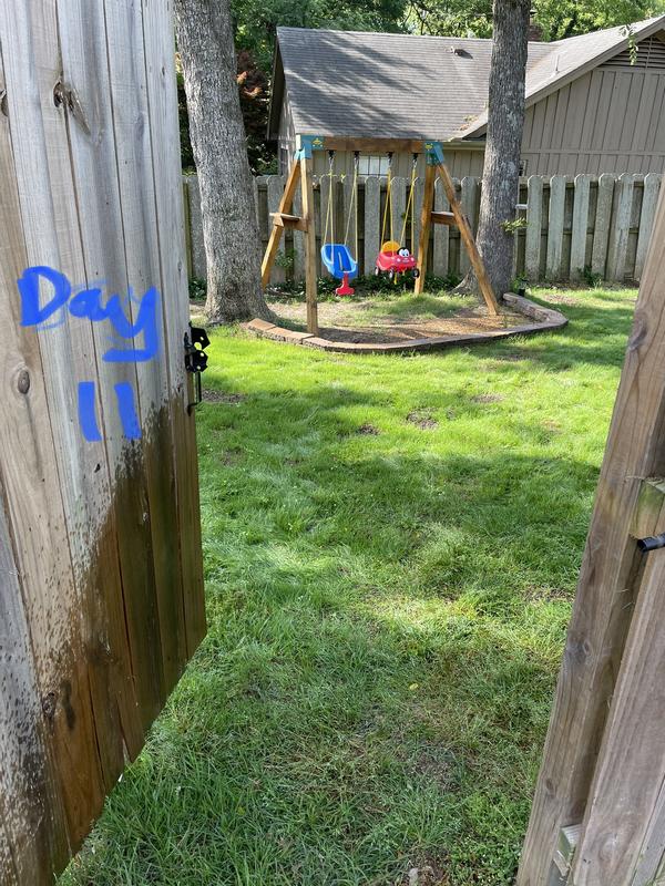 Day 11