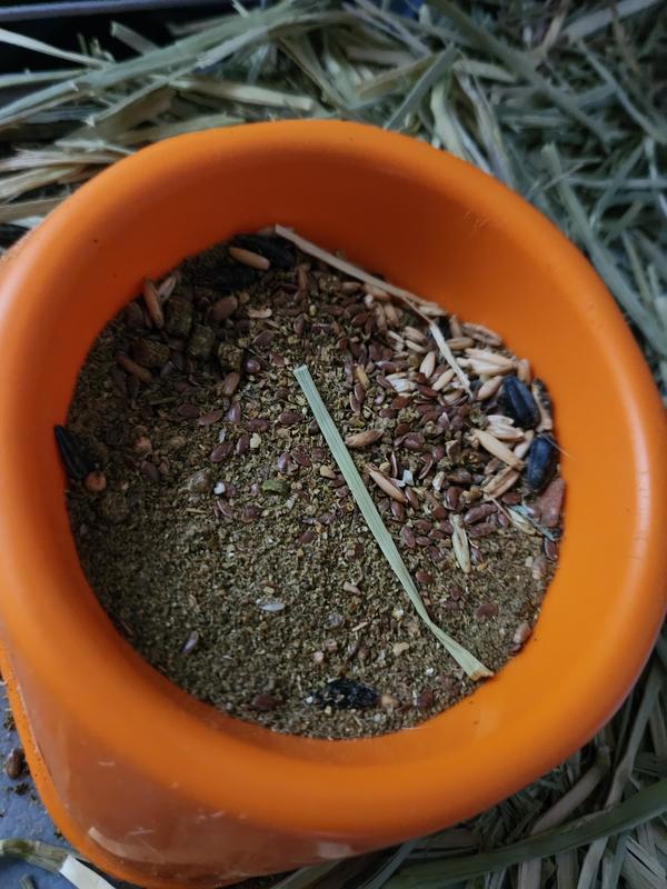 Half a bowl of dust after one feeding. The whole bag is like this. And has been in the past. The pellets are terrible quality.