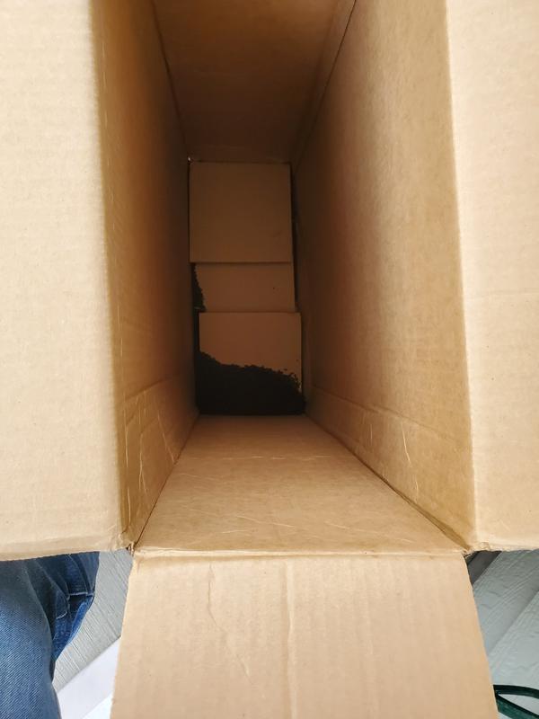 Review photo 2.