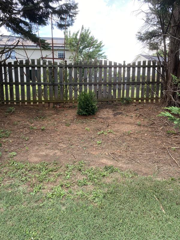 Lost a Leland and these are an improved replacement