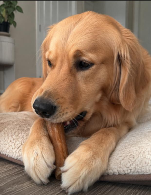 Enjoying a treat