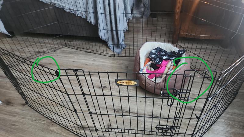 Green circles are the locations that injured my puppy.