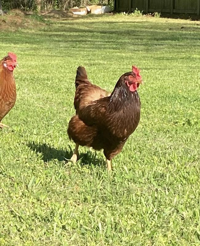 One of my girls