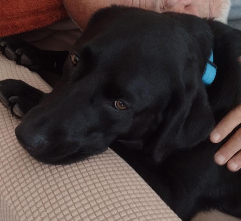 Bella Mae