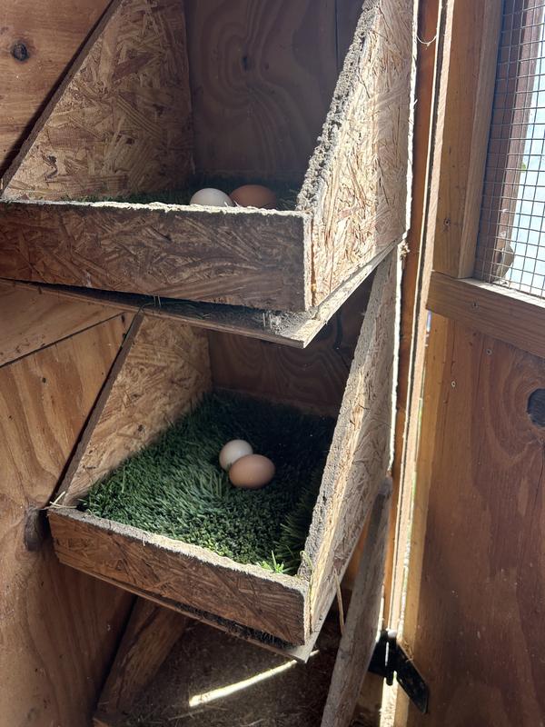 This year the bottoms fell out. Last year were the corners.